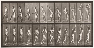 Cricket; slaan; drive door Eadweard Muybridge