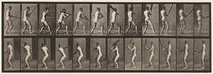 Plaat 292. Cricket; slaan; rug naar buiten, 1885 door Eadweard Muybridge