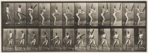 Plaat 293. Cricket; Slaan; Achterwaartse slag, 1885 door Eadweard Muybridge