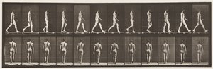 Lopen door Eadweard Muybridge