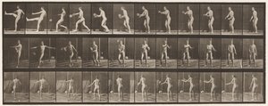 Plaat 301. Voetbal; Punt, 1885 door Eadweard Muybridge
