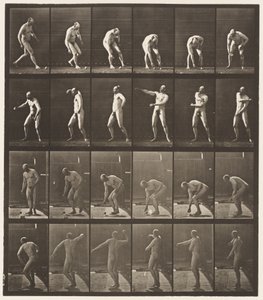 Plaat 302. Een bal oppakken en gooien, 1885 door Eadweard Muybridge