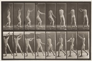 Plaat 309. De hamer werpen door Eadweard Muybridge