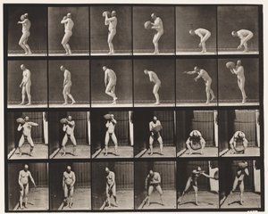 Plaat 312. Een 75-pond rots heffen door Eadweard Muybridge