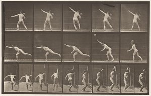 Plaat 313. Een 20-ponds rots heffen, 1885 door Eadweard Muybridge