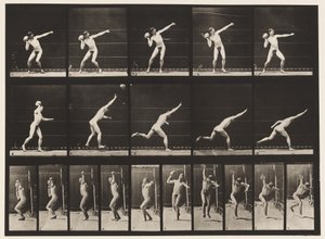 Plaat 314. Een 20-pond rots werpen door Eadweard Muybridge