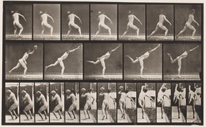 Plaat 316. Een 20-ponds rots heffen, 1885 door Eadweard Muybridge