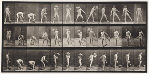Plaat 317. Een 70-lb Steen Heffen door Eadweard Muybridge