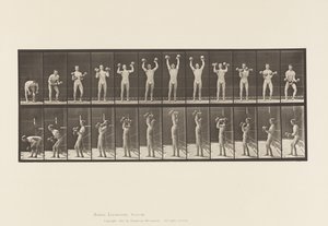 Plaat 322. Man met Halters door Eadweard Muybridge