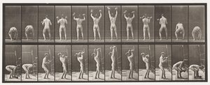 Plaat 323. Tillen en Neerlaten van Twee 50-lb Halters door Eadweard Muybridge