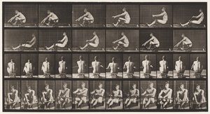 Plaat 327. Roeien door Eadweard Muybridge