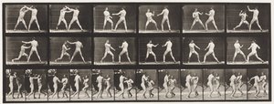 Plaat 329. Boksen; (Schoenen) door Eadweard Muybridge