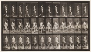 Plaat 32. Lopen, Emmer Water in Elke Hand Dragen door Eadweard Muybridge