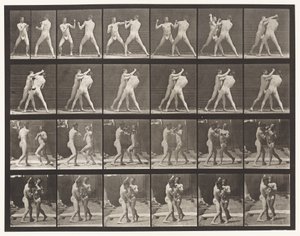 Plaat 330. Boksen; Kruis-counter (Schoenen) door Eadweard Muybridge