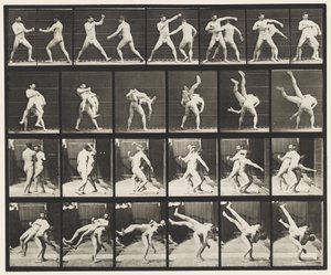 Plaat 332. Boksen; Kruisworsteling door Eadweard Muybridge