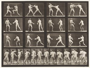 Boksen; Met Handschoenen door Eadweard Muybridge