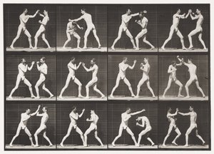 Plaat 336. Boksen; Open Hand (Schoenen) door Eadweard Muybridge