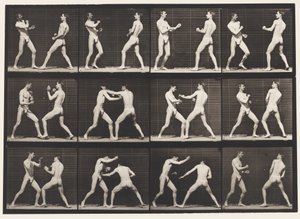 Plaat 338. Boksen; open hand (schoenen) door Eadweard Muybridge