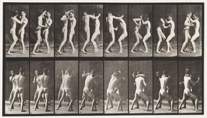 Plaat 341. Boksen; Open Hand door Eadweard Muybridge