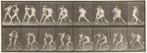 Boksen; Open Hand, 1872-1885 door Eadweard Muybridge