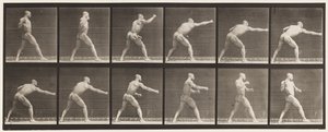 Plaat 344. Een slag toebrengen (rechterhand) door Eadweard Muybridge