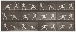 Schermen door Eadweard Muybridge