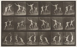 Plaat 350. Schermen door Eadweard Muybridge