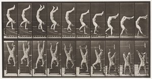 Plaat 368. Acrobat, trappen afdalen op handen door Eadweard Muybridge