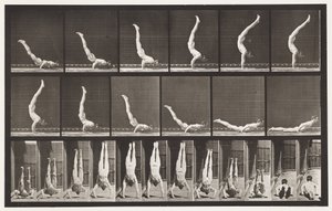 Plaat 372. Acrobat, Horizontale Opdruk door Eadweard Muybridge