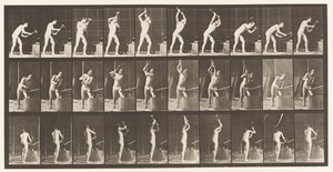 Plaat 378. Smid, Hameren op Aambeeld, Twee Handen door Eadweard Muybridge