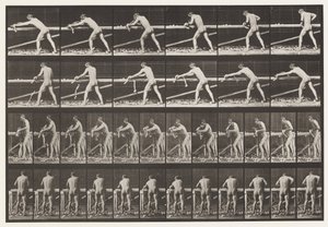 Timmerman, Een Plank Schaven, 1872-1885 door Eadweard Muybridge