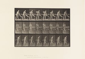 Timmerman, zagen door Eadweard Muybridge
