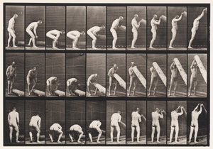 Plaat 382. Een boomstam rechtop zetten, 1872-1885 door Eadweard Muybridge