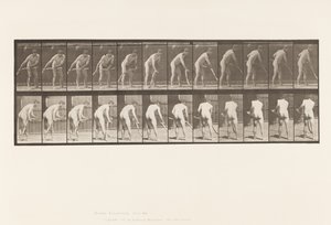 Plaat 390. Boer, gras maaien door Eadweard Muybridge