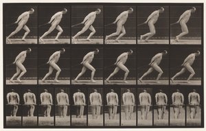 Een tuinwals slepen door Eadweard Muybridge
