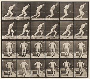 Duwen van een tuinwals door Eadweard Muybridge
