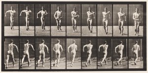 Plaat 3. Lopen door Eadweard Muybridge
