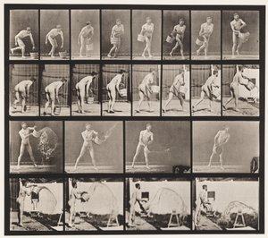Plaat 400. Emmer water leeggooien, 1872-1885 door Eadweard Muybridge
