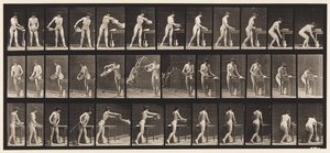 Plaat 402. Kom Water Leegmaken door Eadweard Muybridge