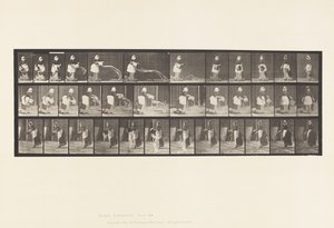 Plaat 404. Emmer water legen, 1885