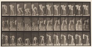 Plaat 434. Kleding aan de lijn hangen, 1872-1885 door Eadweard Muybridge
