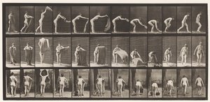 Een Tapijt op de Vloer Spreiden, 1872-1885 door Eadweard Muybridge
