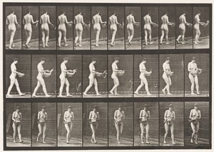 Plaat 43. Wandelen, water uit kom sprenkelen, omdraaien door Eadweard Muybridge