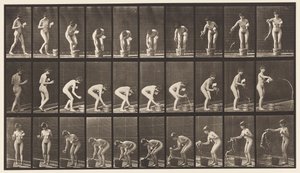 Plaat 440. Bukken en Glas Spoelen door Eadweard Muybridge