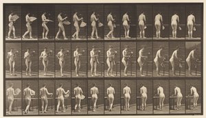 Plaat 441. Vaas dragen en op tafel plaatsen, 1872-1885 door Eadweard Muybridge