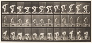 Plaat 442. Bukken en een steen over de grond rollen door Eadweard Muybridge