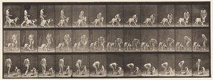 Plaat 449. Een hond voeren door Eadweard Muybridge