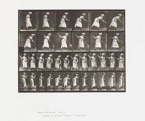 Hooi Harken door Eadweard Muybridge