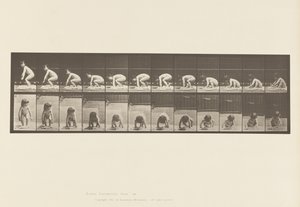 Plaat 479. Kind, Opstaan van de Grond door Eadweard Muybridge