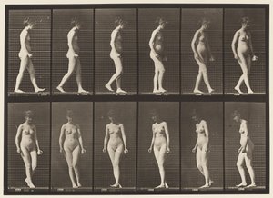 Plaat 47. Lopen en Omdraaien door Eadweard Muybridge